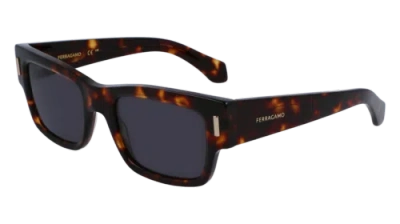 Pre-owned Ferragamo Sf2011s 242 Dark Tortoise 53/21/140 Male Sunglasses In Brown