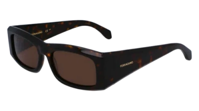 Pre-owned Ferragamo Sf2012s 242 Dark Tortoise 57/18/145 Male Sunglasses In Brown