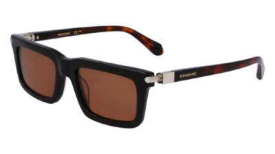 Pre-owned Ferragamo Sf2015s 242 Dark Tortoise 53/20/145 Male Sunglasses In Brown