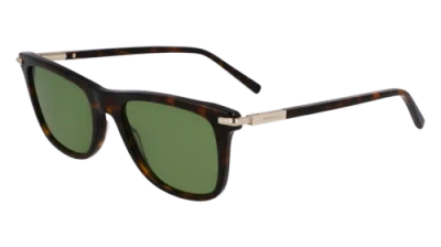 Pre-owned Ferragamo Sf2028s 242 Dark Tortoise 54/20/145 Male Sunglasses In Brown
