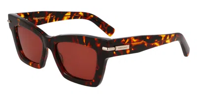 Ferragamo Sf2031s 242 Women's Sunglasses Tortoiseshell Size 52 In Brown