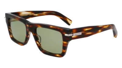 Pre-owned Ferragamo Sf2033s 216 Striped Brown 53/20/145 Male Sunglasses