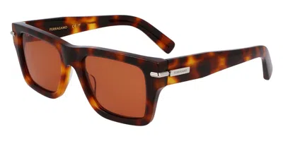 Ferragamo Sf2033s 240 Men's Sunglasses Tortoiseshell Size 53 In Brown