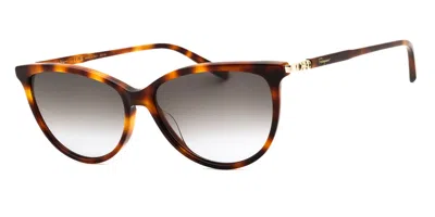 Ferragamo Sf2870scp Sunglasses In Multi