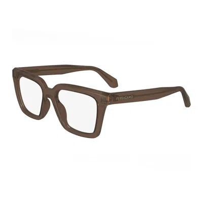 Ferragamo Sf2985 207 Transparent Dark Brown 52mm In White