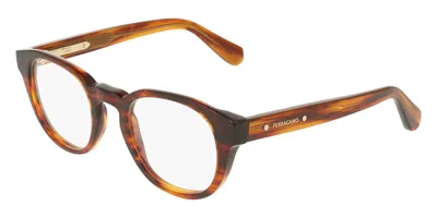Ferragamo Sf3083 208 Men's Glasses Brown Size 50 - Free Lenses - Blue Light Block Available
