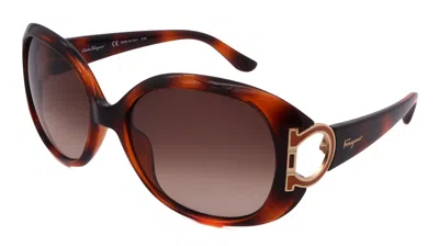 Ferragamo Sf668s-238-57-17-125 In Brown