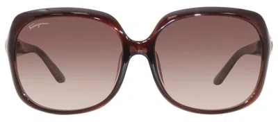 Ferragamo Sf739sa 210 Oversized Square Sunglasses In Brown