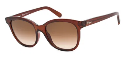 Ferragamo Sf834s 210 Men's Sunglasses Brown Size 55