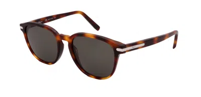 Ferragamo Sf993s-214-53-19-150 In Brown