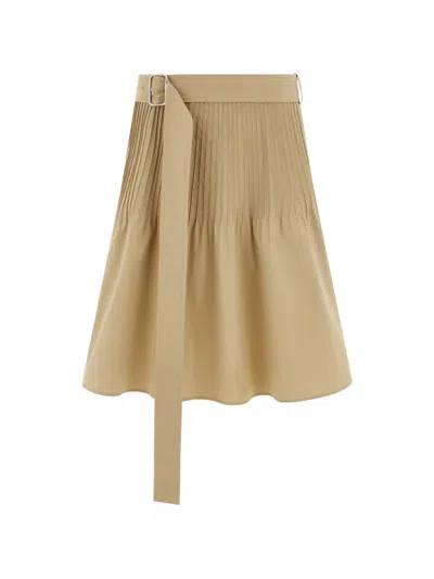 Ferragamo Skirt With Micro Detail In Neutral