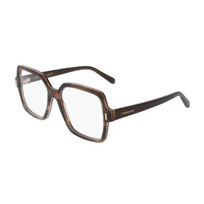 Ferragamo Striped Brown Green Eyeglasses With Clear Demo Lens