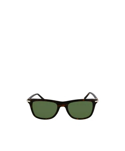 Ferragamo Sunglasses In Brown