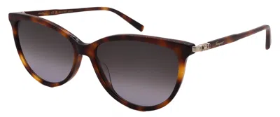 Ferragamo Sunglasses Sf2870scp-214-55-14-145 Non-polarized In Brown