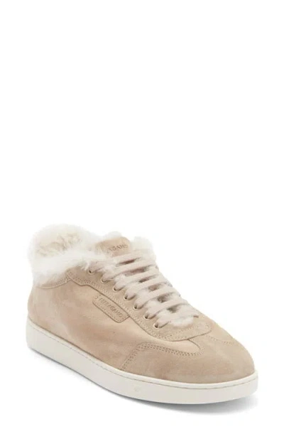Ferragamo Thea Low Top Sneaker In Brown