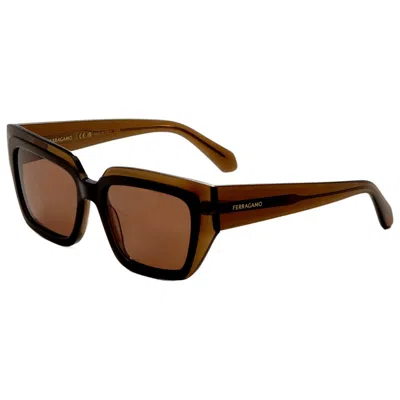 Ferragamo Unisex Sunglasses In Brown