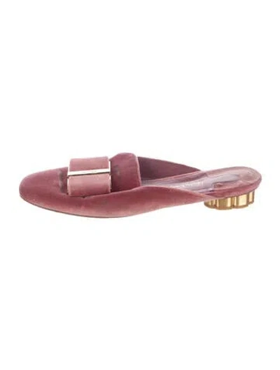 Pre-owned Ferragamo Vara Bow Accent Velvet Mules In Pink