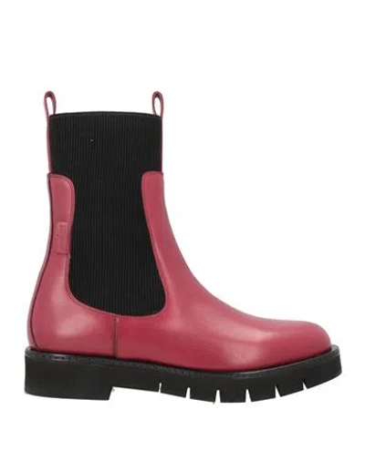 Ferragamo Woman Ankle Boots Burgundy Size 5 Calfskin In Red