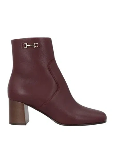 Ferragamo Woman Ankle Boots Burgundy Size 8 Calfskin In Purple