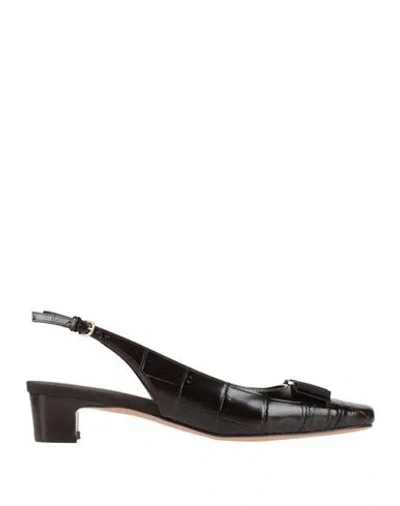 Ferragamo Woman Pumps Dark Brown Size 6 Calfskin