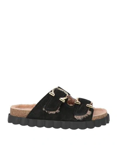 Ferragamo Woman Sandals Black Size 7 Leather