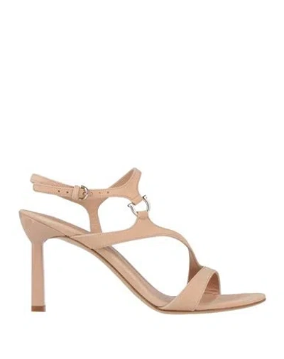 Ferragamo Woman Sandals Blush Size 7 Calfskin In Pink