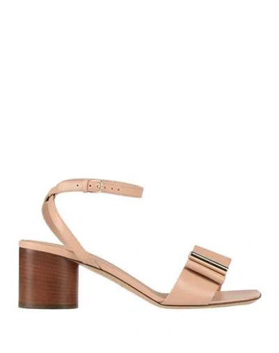 Ferragamo Woman Sandals Blush Size 8.5 Leather In Pink