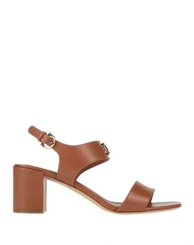 Ferragamo Woman Sandals Brown Size 9.5 Calfskin