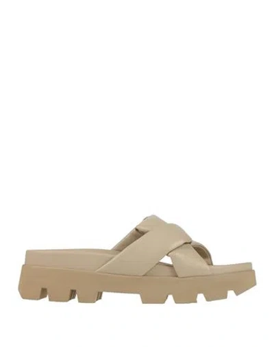 Ferragamo Woman Sandals Light Grey Size 7 Calfskin In Gray