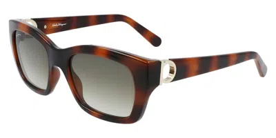 Ferragamo Women's 53 Mm Tortoise Sunglasses In Brown