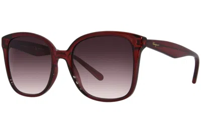 Ferragamo Women's 56mm Sunglasses In Brown