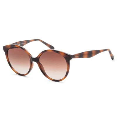 Ferragamo Women's 58mm Brown Sunglasses In Grey