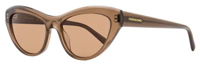 Ferragamo Women's Cat Eye Sunglasses Sf1103s 232 Transparent Brown 55mm