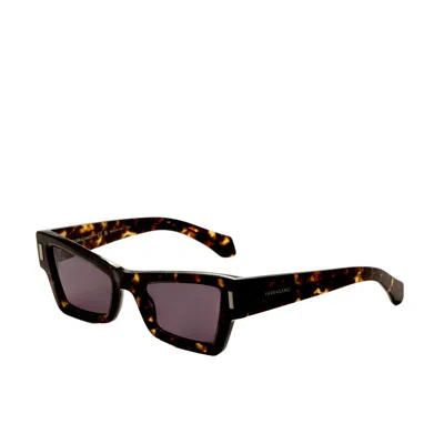 Ferragamo Women's Dark Tortoise 53mm Sunglasses In Black