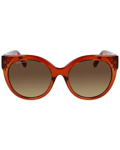 Ferragamo Women's Sf1031s 53mm Sunglasses In Brown