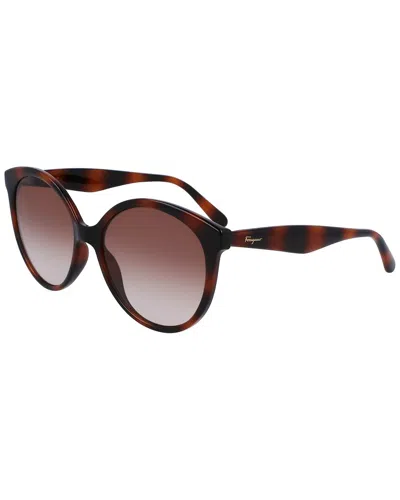 Ferragamo Women's Sf1071s 58mm Sunglasses In Brown