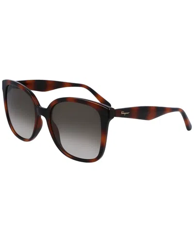 Ferragamo Women's Sf1072s 56mm Sunglasses In Brown