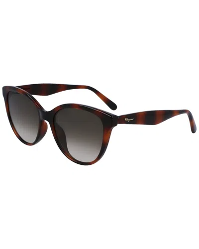 Ferragamo Women's Sf1073s 54mm Sunglasses In Brown
