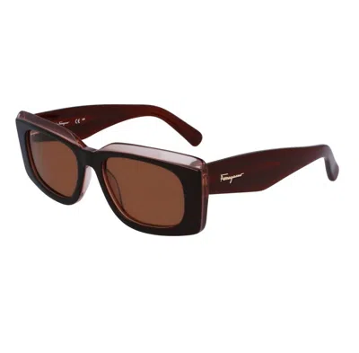 Ferragamo Women's Sf1079s Sunglasses In Brown/nude/brown In Multi