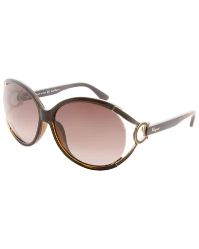 Ferragamo Women's Sf600s 61mm Sunglasses In Brown