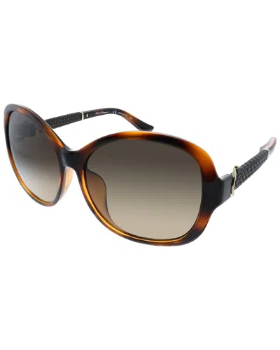 Ferragamo Sf 744sla 214 59mm Womens Butterfly Sunglasses In Brown