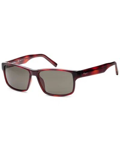 Ferragamo Women's Sf960s 58mm Sunglasses In Black