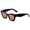 Ferragamo Women's Sunglasses In Brown