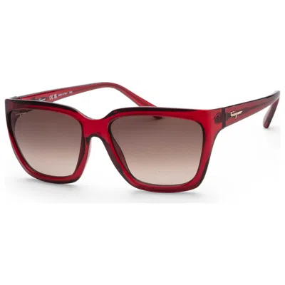 Ferragamo Women's Sunglasses In Brown