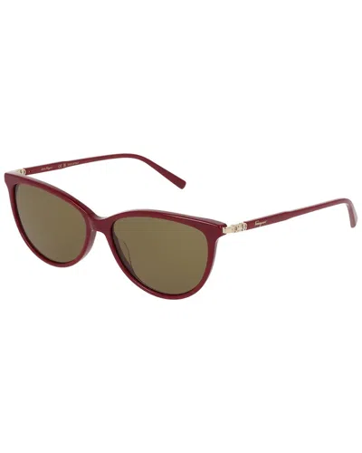 Ferragamo 55mm Cat Eye Sunglasses In Brown