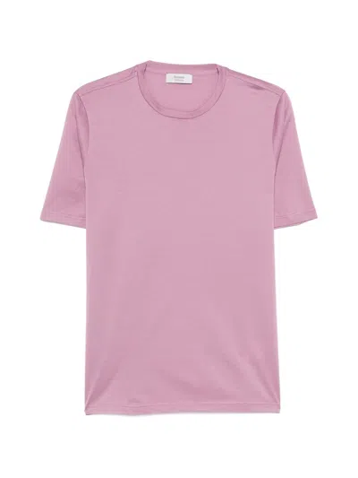 FERRANTE FERRANTE T-SHIRT MM HILO ESCOCÉS
