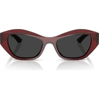 Ferrari 53mm Polarized Cat Eye Sunglasses In Brown