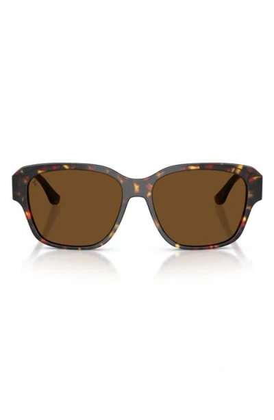 Ferrari 57mm Polarized Square Sunglasses In Brown