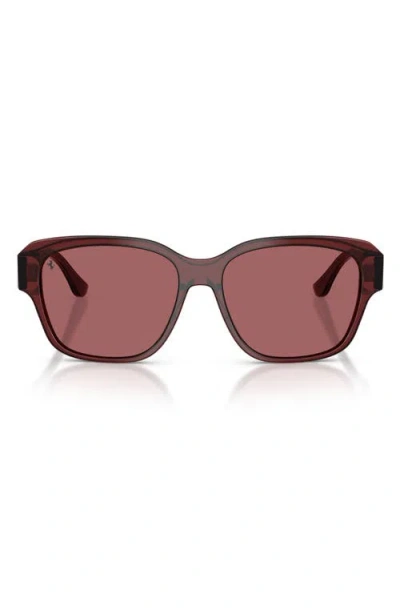 Ferrari 57mm Polarized Square Sunglasses In Burgundy