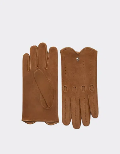Ferrari Driving Gloves In Nappa Leather And Suede In Hide